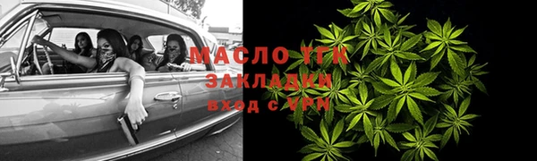 твердый Инта