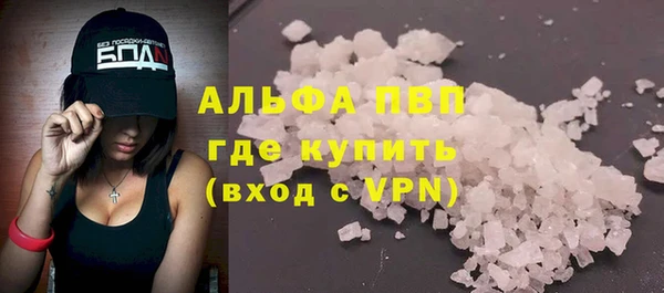 Альфа ПВП Верея