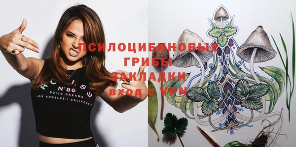 ГАЛЛЮЦИНОГЕННЫЕ ГРИБЫ Каменногорск