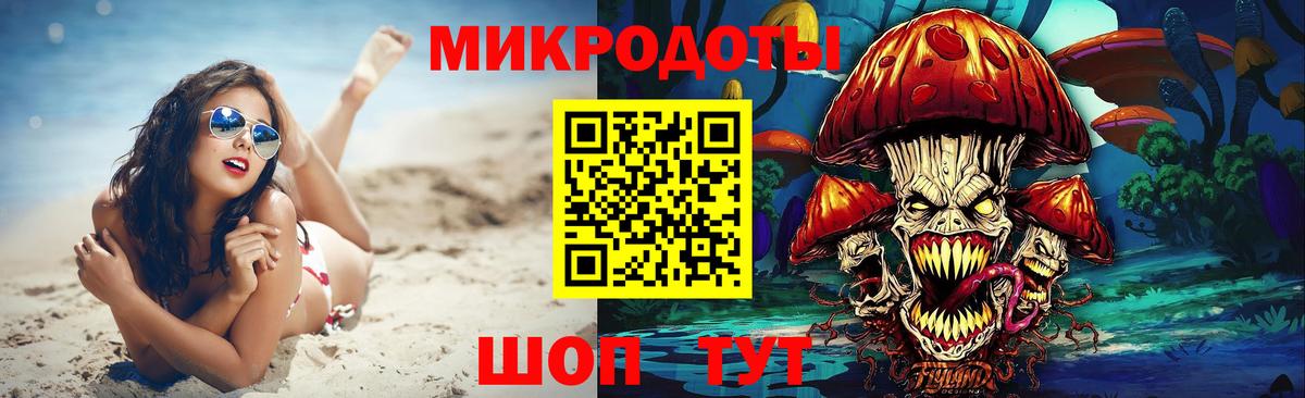 Россия  Псилоцибиновые грибы MAGIC MUSHROOMS  Вход с VPN 
