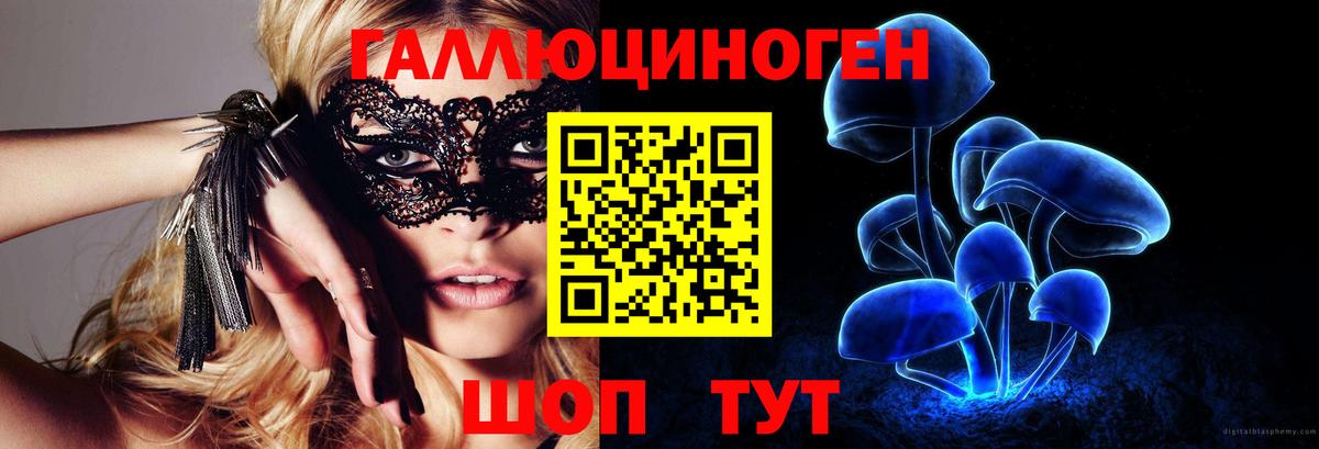 Галлюциногенные грибы Psilocybine cubensis Россия