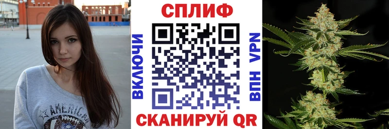 Канабис сатива  Красноярск 